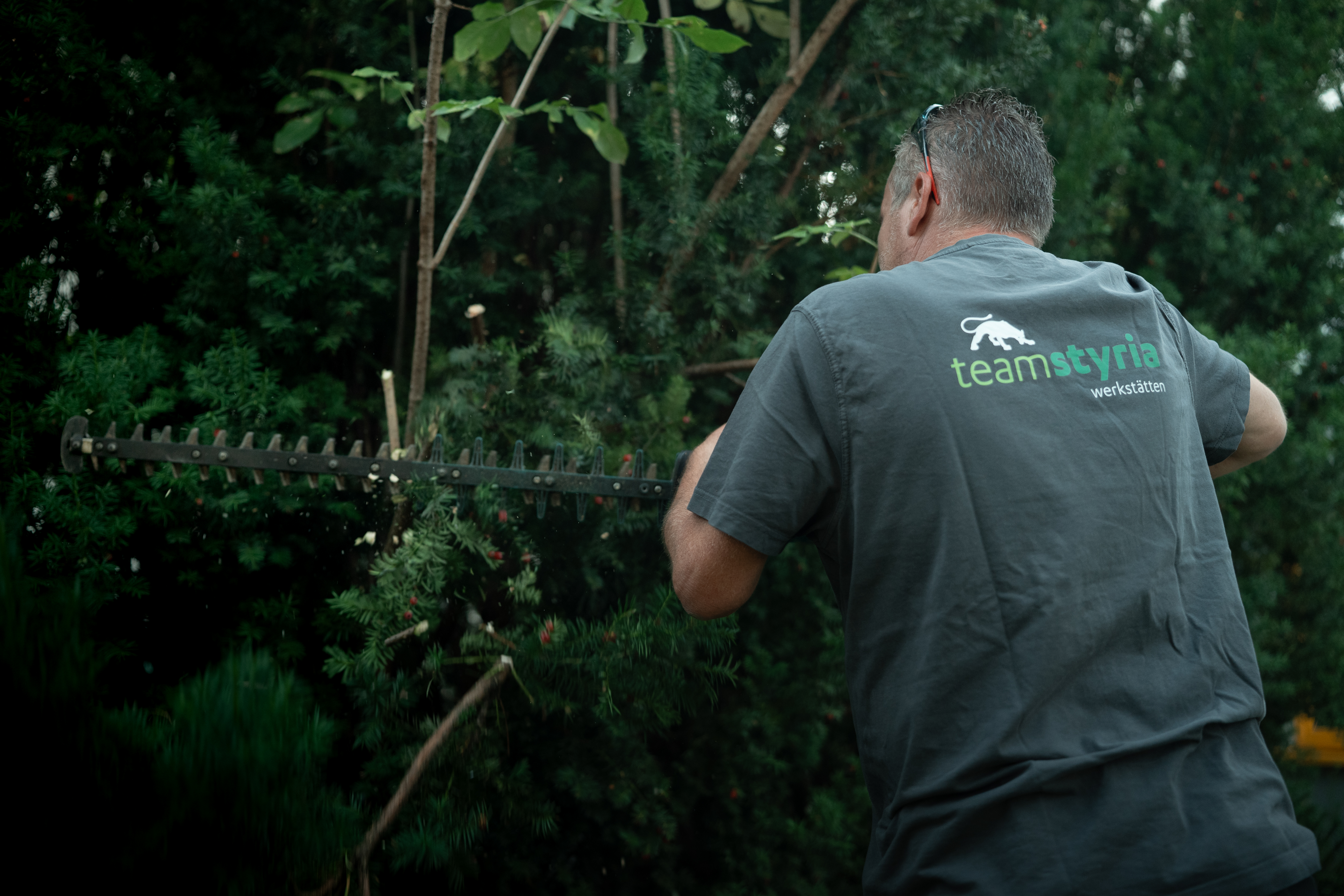Hecken- und Strauchschnitt – Team Styria Facility Service